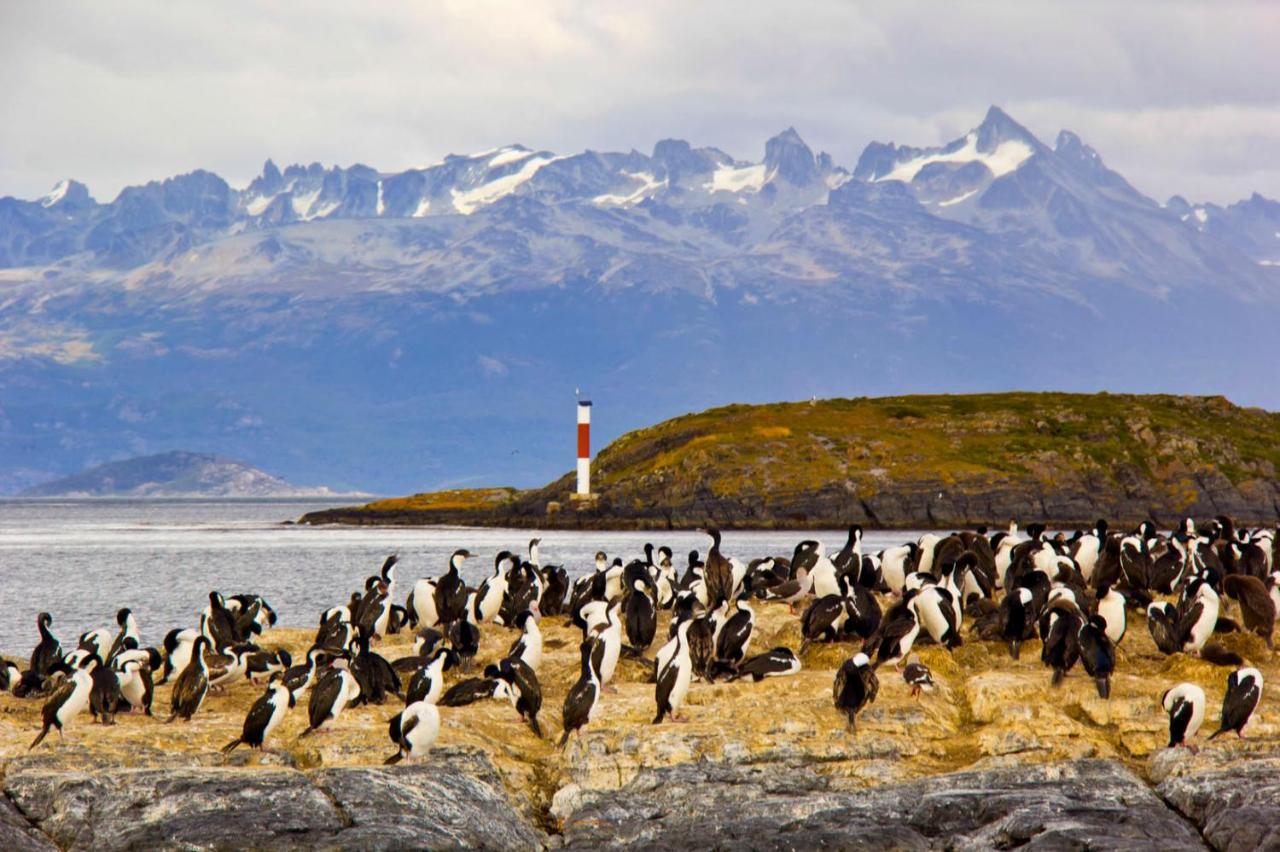 La Pizpireta Appartamento Ushuaia Esterno foto